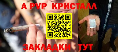 шишки Кинель