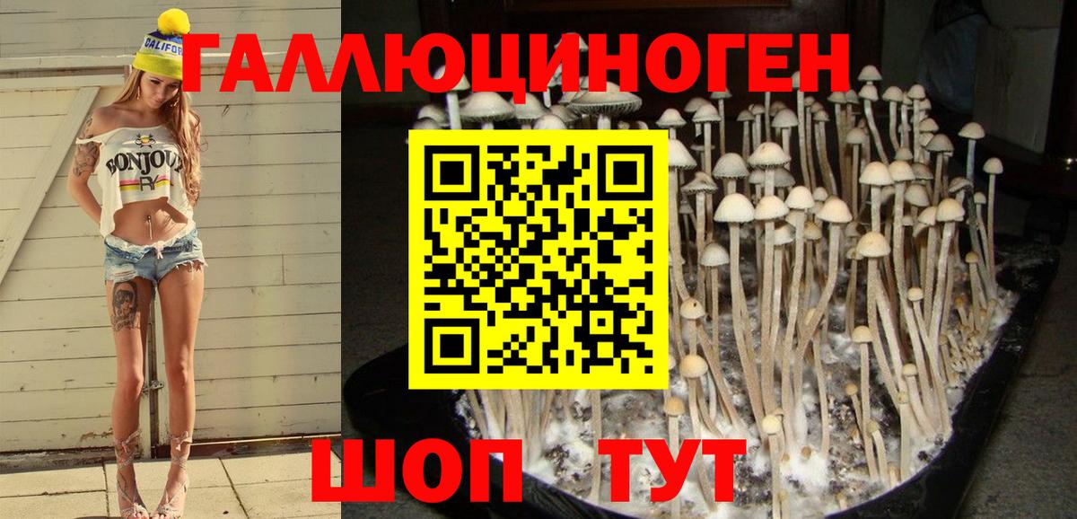 Галлюциногенные грибы прущие грибы Ухта